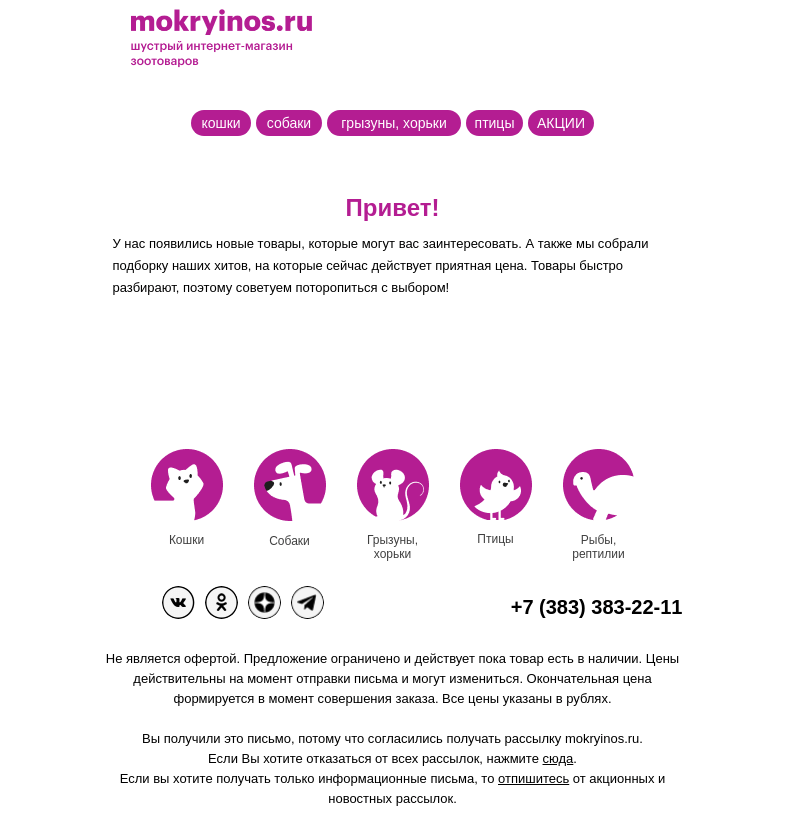Письмо компании «Мокрый нос» на тему «Не пропустите наши новинки и горячие скидки месяца»