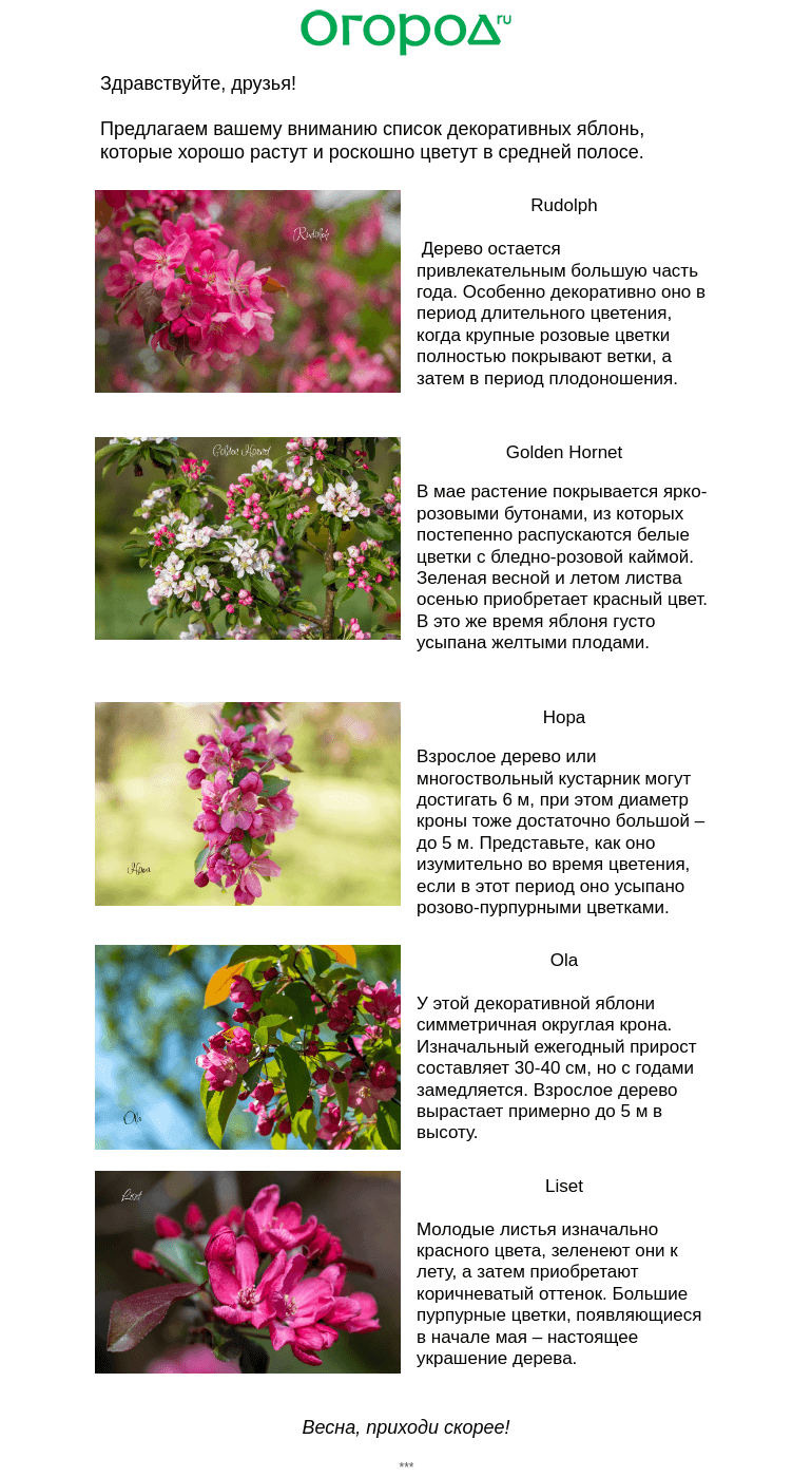 Письмо компании «Огород.ru» на тему «🌸 Наш ответ сакуре!»