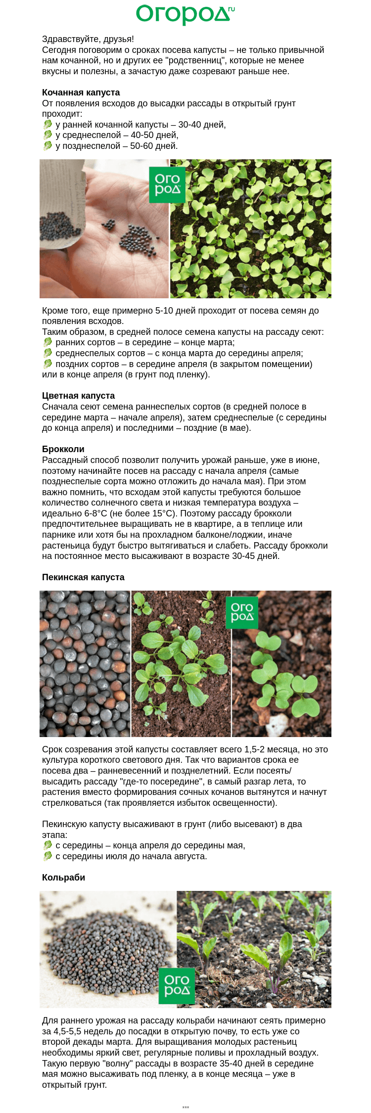 Письмо компании «Огород.ru» на тему «🥬 Когда сеять капусту»