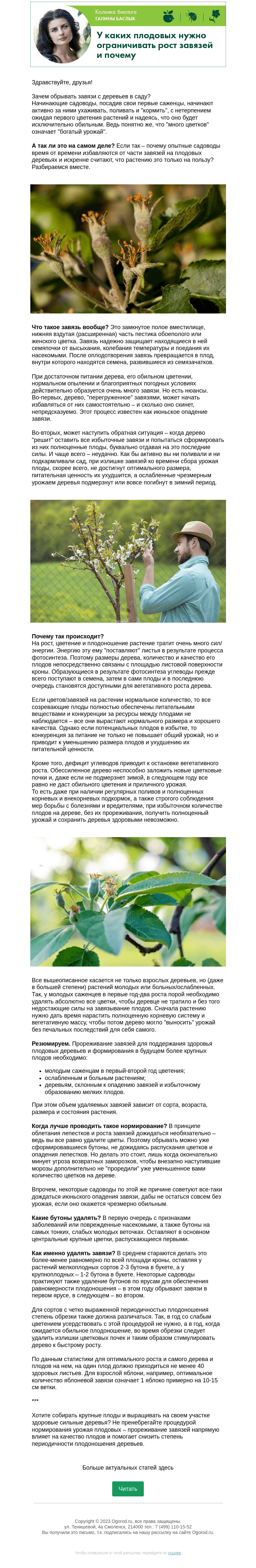 Письмо компании «Огород.ru» на тему «Колонка биолога. У каких плодовых нужно ограничивать рост завязей и почему»