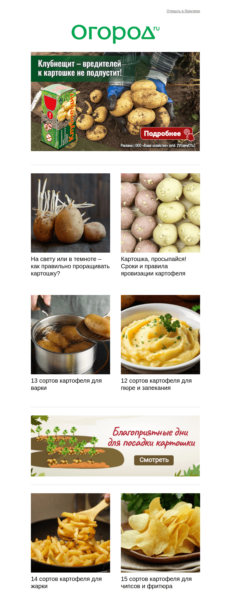 Письмо компании «Огород.ru» на тему « 🪣🥔 Готовимся к посадке картошки – сорта и этапы»