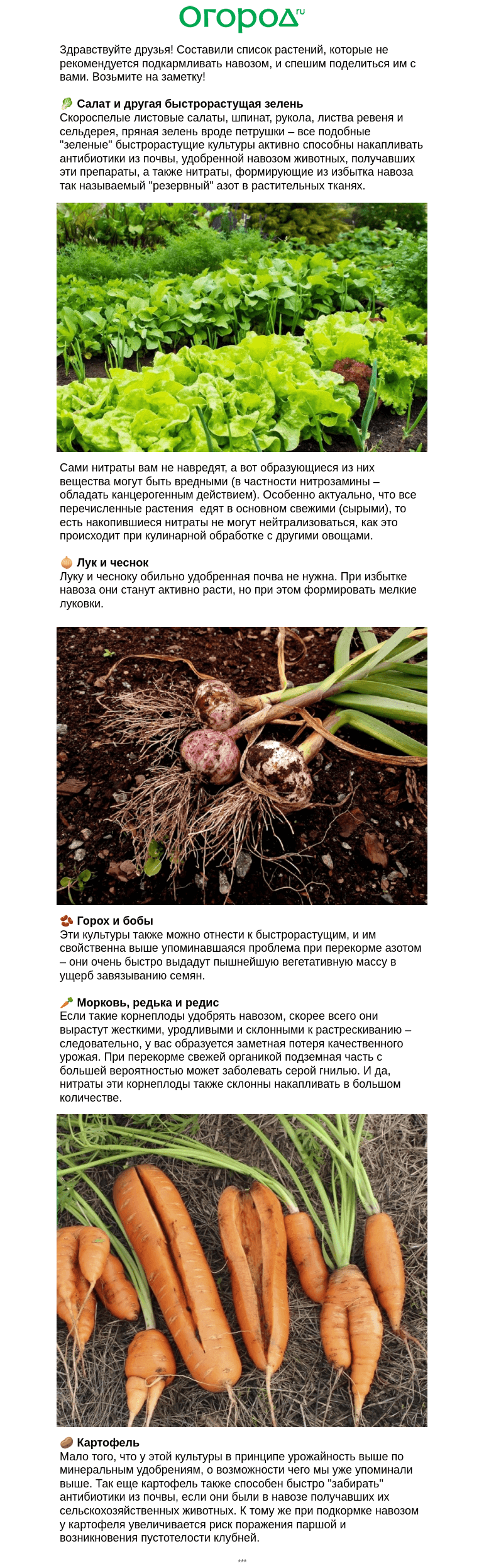 Письмо компании «Огород.ru» на тему «🫘🥕🥬 Им запрещен навоз!»