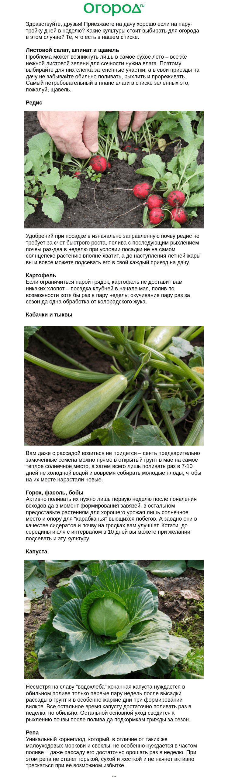 Письмо компании «Огород.ru» на тему «🥔🥬 Овощи для дачника выходного дня»