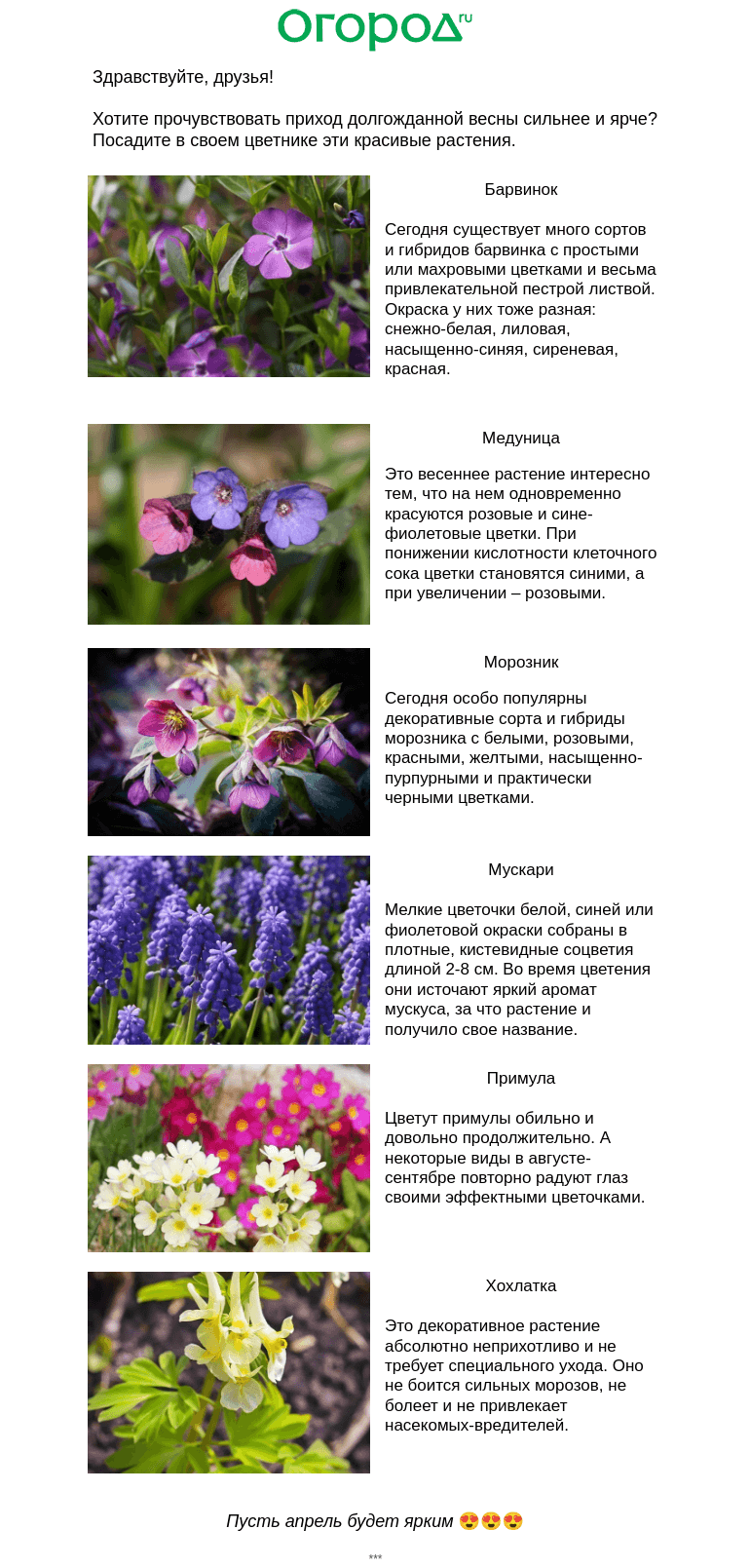 Письмо компании «Огород.ru» на тему «🪻 Растения, цветущие в апреле»