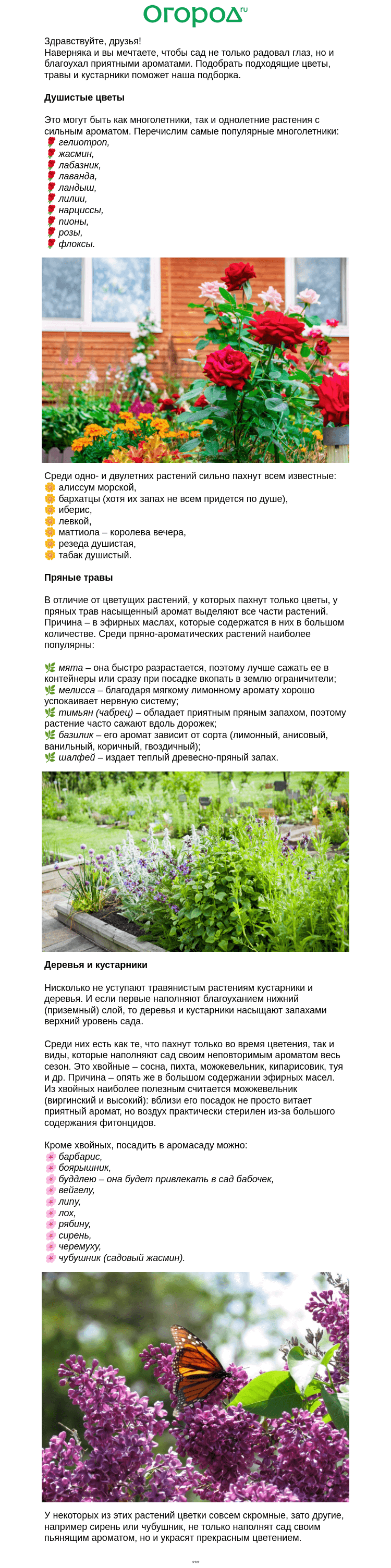 Письмо компании «Огород.ru» на тему «🌻 🌹Душистые растения для аромасада»