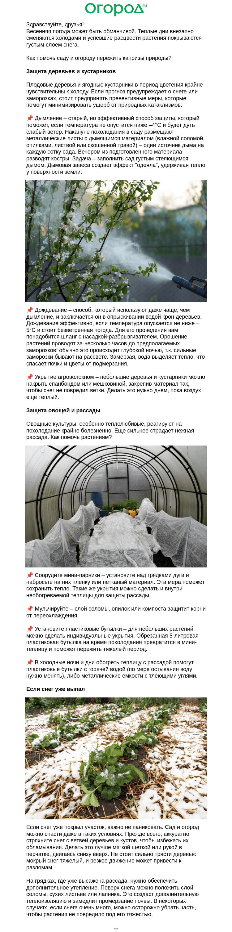 Письмо компании «Огород.ru» на тему «❄️ Спасаем сад и огород от снега и мороза»