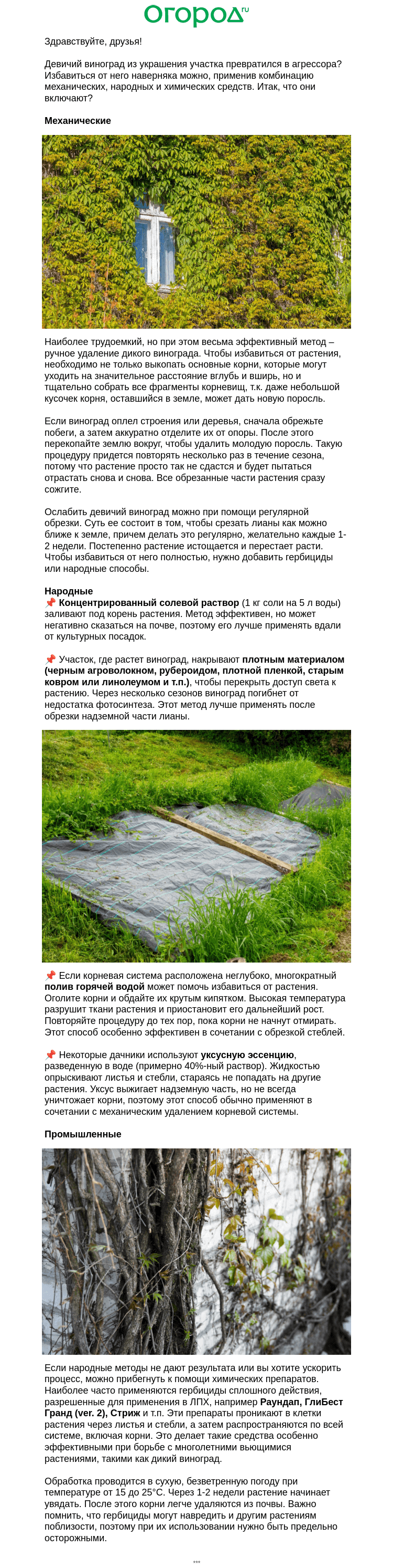 Письмо компании «Огород.ru» на тему «Боремся с диким виноградом»