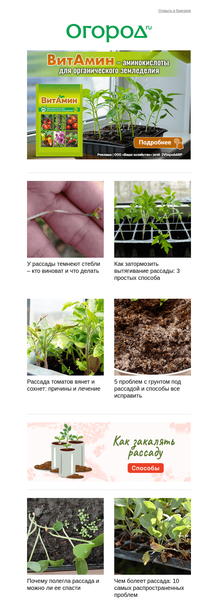 Письмо компании «Огород.ru» на тему «Проблемы с рассадой? Как помочь 🌱»