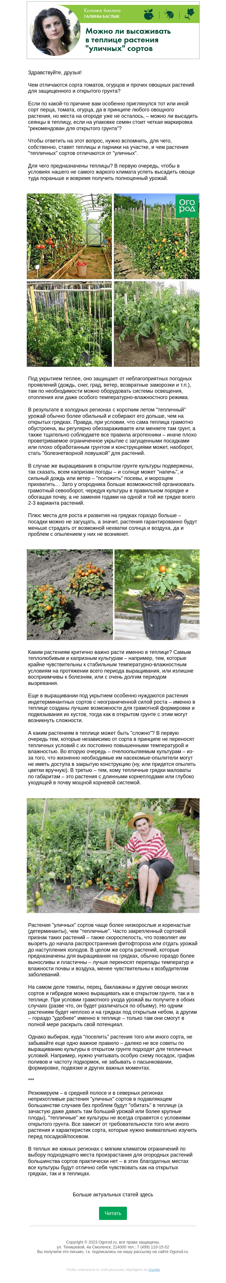 Письмо компании «Огород.ru» на тему «Колонка биолога. Можно ли высаживать в теплице растения "уличных" сортов»