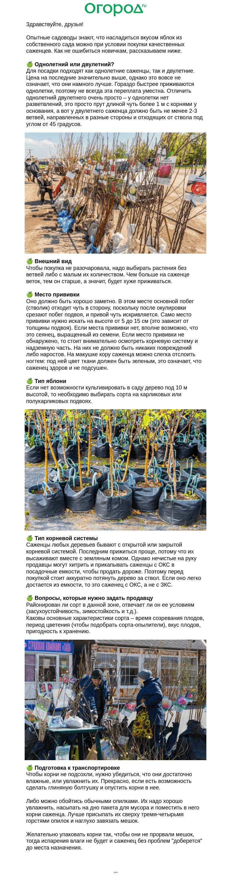 Письмо компании «Огород.ru» на тему «🌱 Как выбрать саженец яблони 🍏»