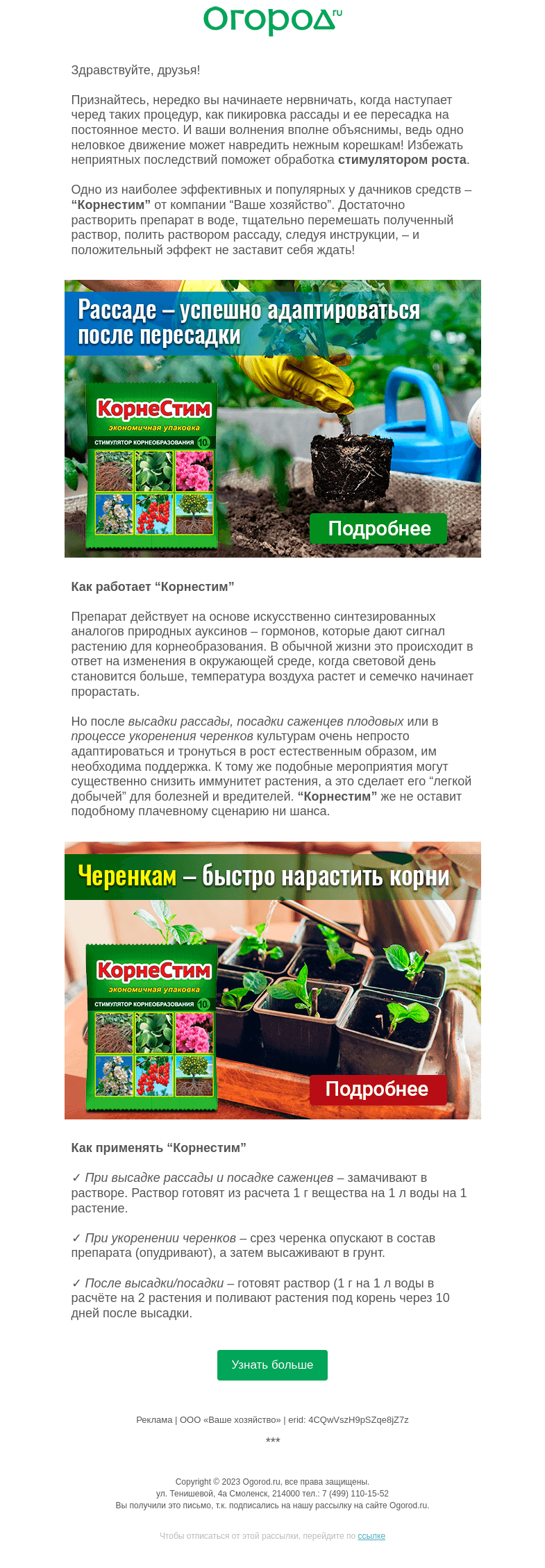 Письмо компании «Огород.ru» на тему «Как помочь рассаде адаптироваться после пересадки»