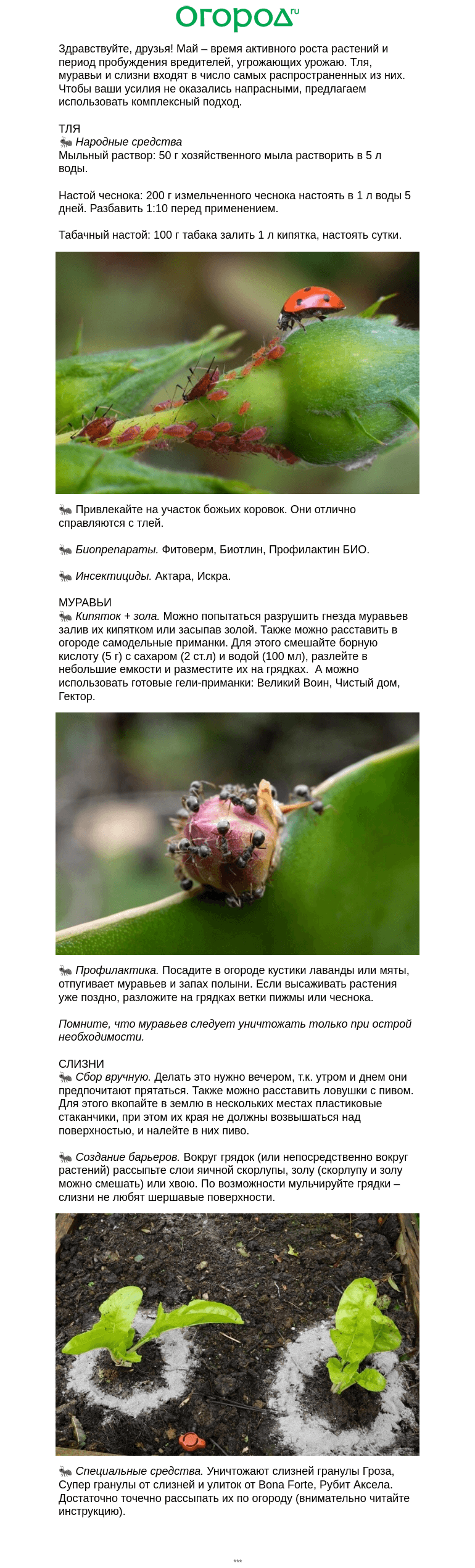 Письмо компании «Огород.ru» на тему «🐜 Муравьи, тля, слизни – как бороться»