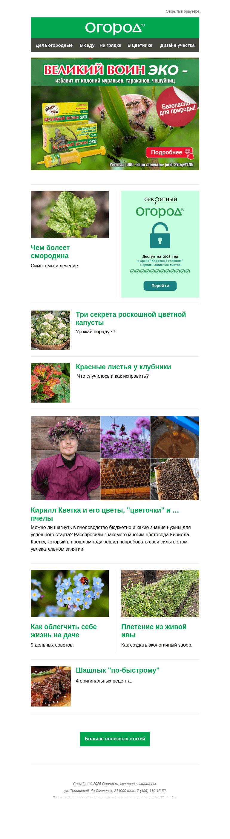 Письмо компании «Огород.ru» на тему «На Огород.ru: болезни смородины и пчеловодство от Кирилла Кветки»