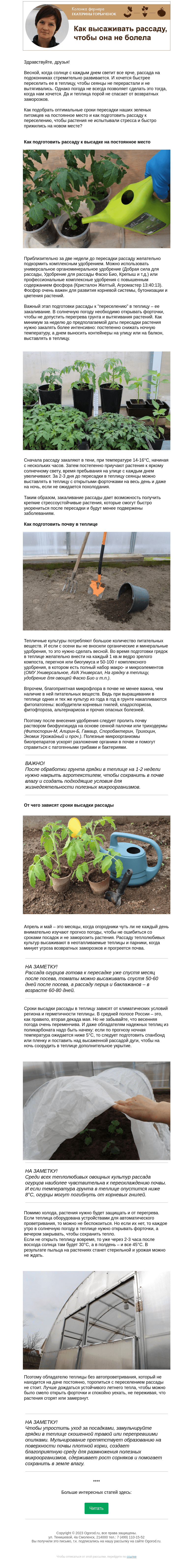 Письмо компании «Огород.ru» на тему «Колонка фермера. Когда и как переселять рассаду в неотапливаемую теплицу»