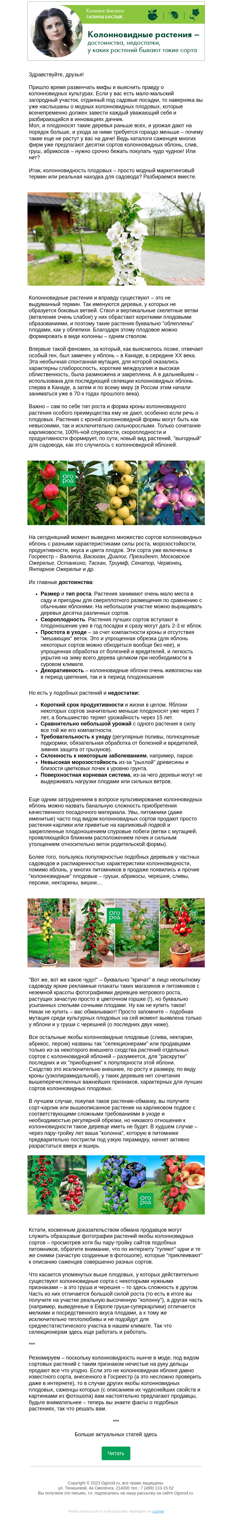 Письмо компании «Огород.ru» на тему «Колонка биолога. Колонновидные растения – достоинства, недостатки»