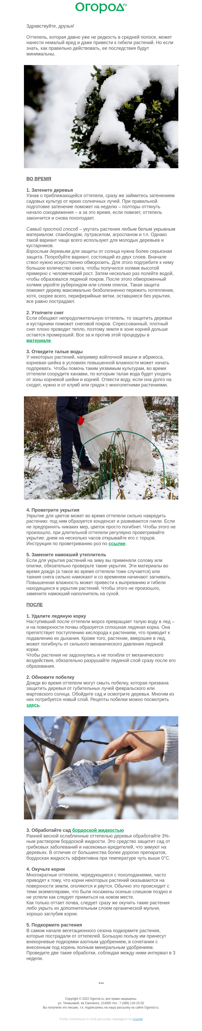 Письмо компании «Огород.ru» на тему «На дворе оттепель? Что важно сделать в саду и огороде»