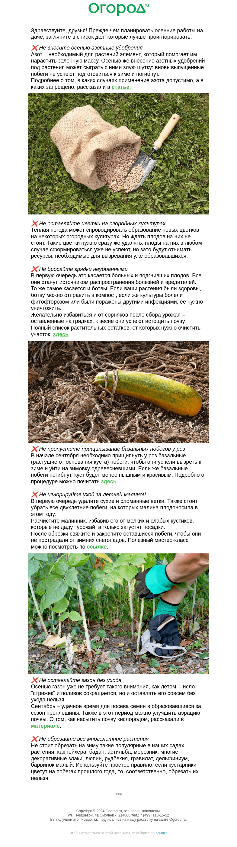 Письмо компании «Огород.ru» на тему «👩‍🌾 7 осенних НЕ для вашего участка»