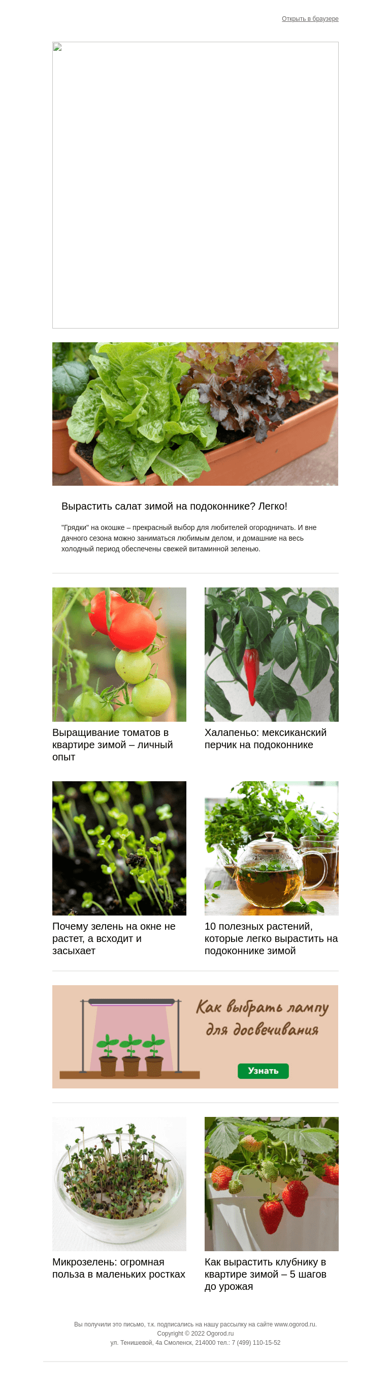 Письмо компании «Огород.ru» на тему «Выбираем растения для "грядок" на окошке»