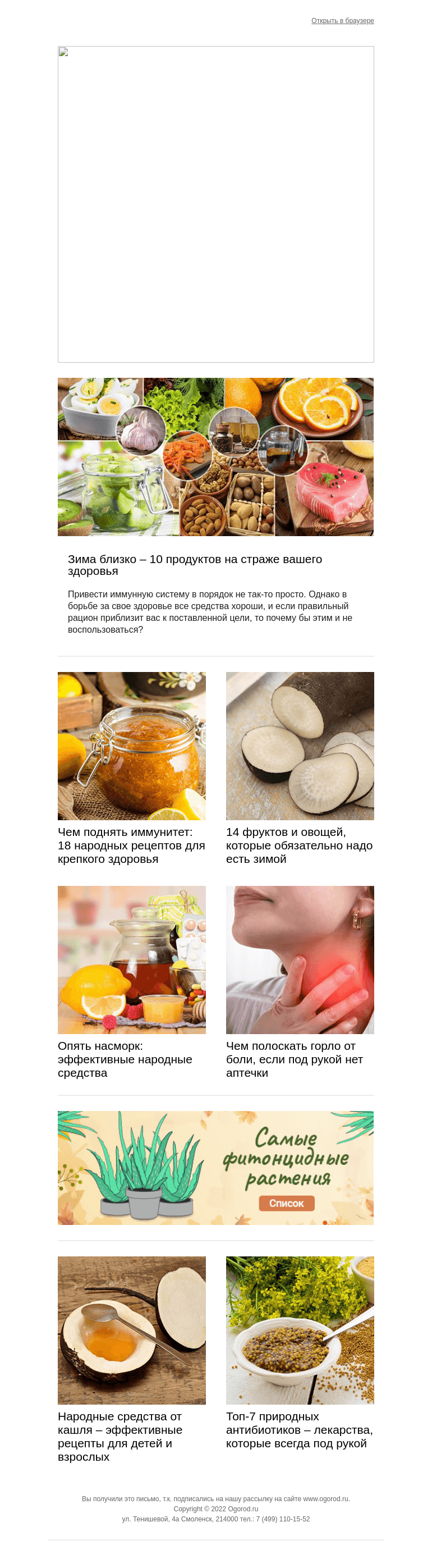 Письмо компании «Огород.ru» на тему « В разгаре пора простуд. Как поднять иммунитет?»
