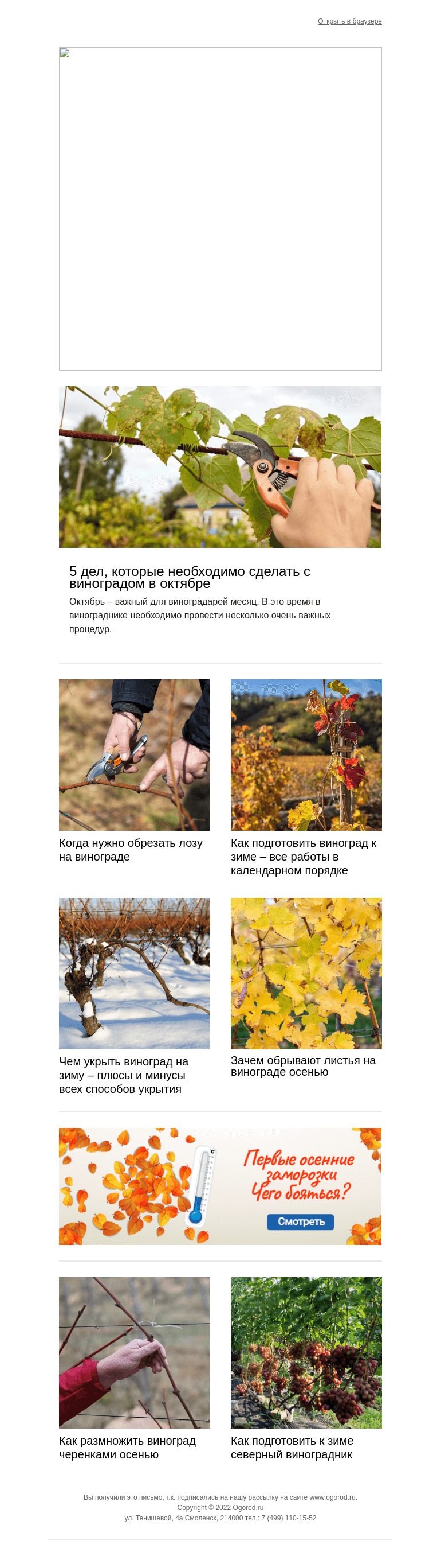 Письмо компании «Огород.ru» на тему «План подготовки винограда к зиме»
