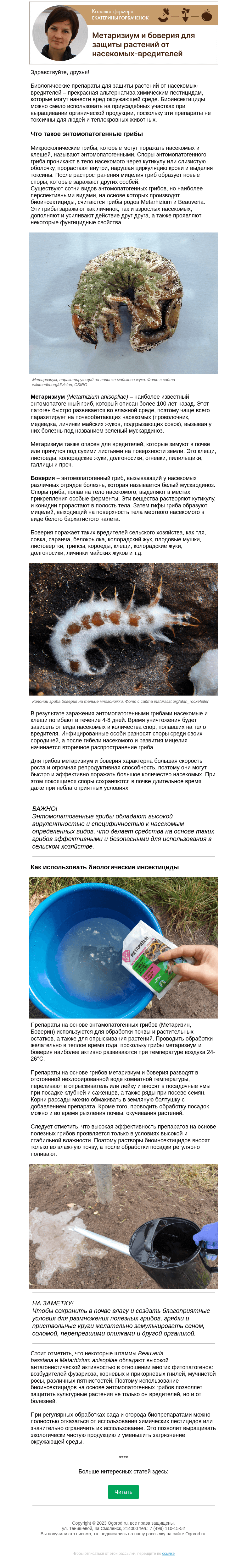 Письмо компании «Огород.ru» на тему «Колонка фермера. Метаризиум и боверия для защиты растений от насекомых-вредителей»