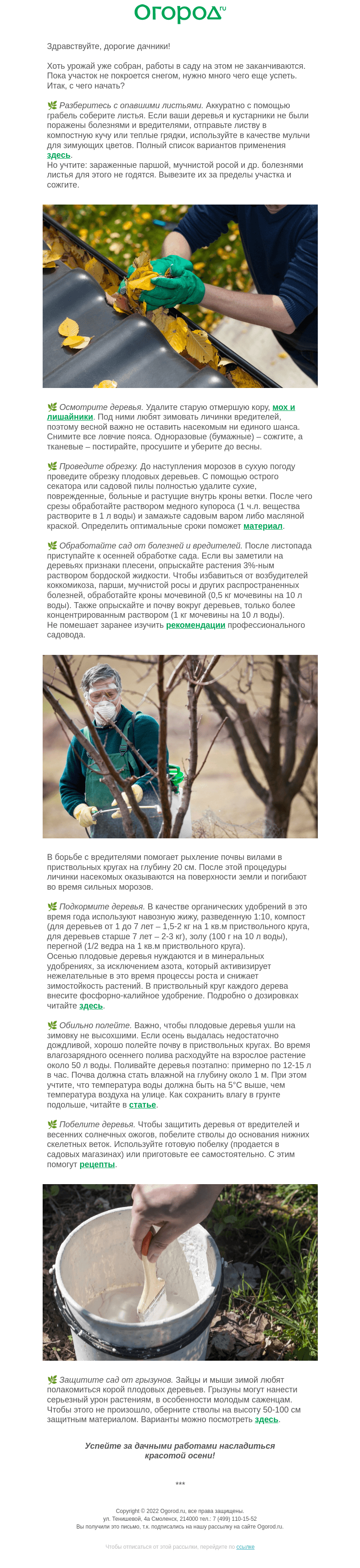 Письмо компании «Огород.ru» на тему «Подготовка сада к зиме – план работ»