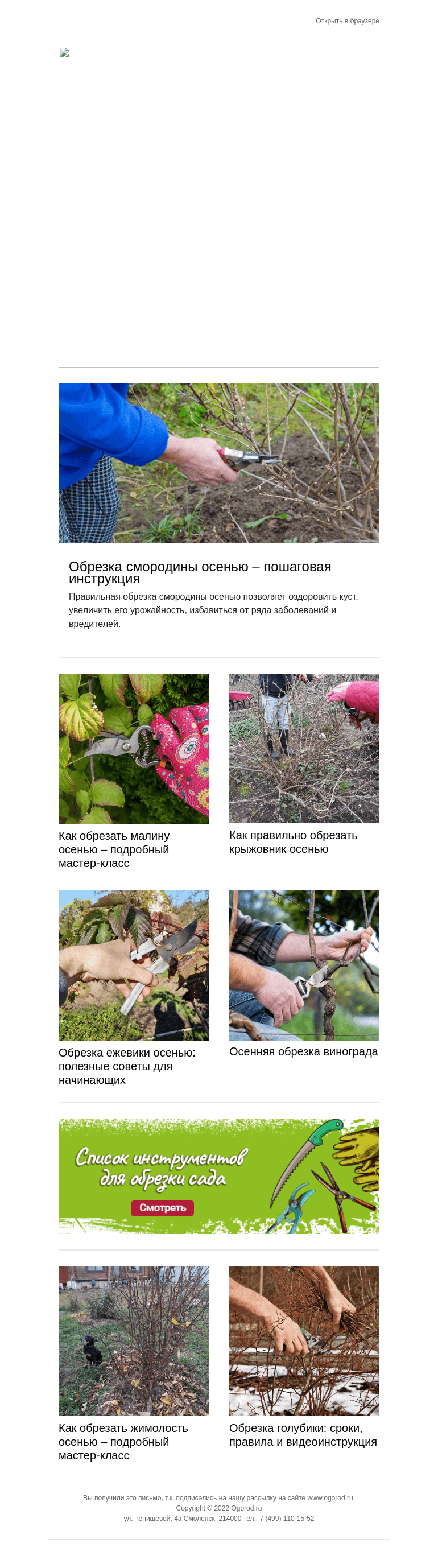 Письмо компании «Огород.ru» на тему «Какие ягодники обрезают осенью »