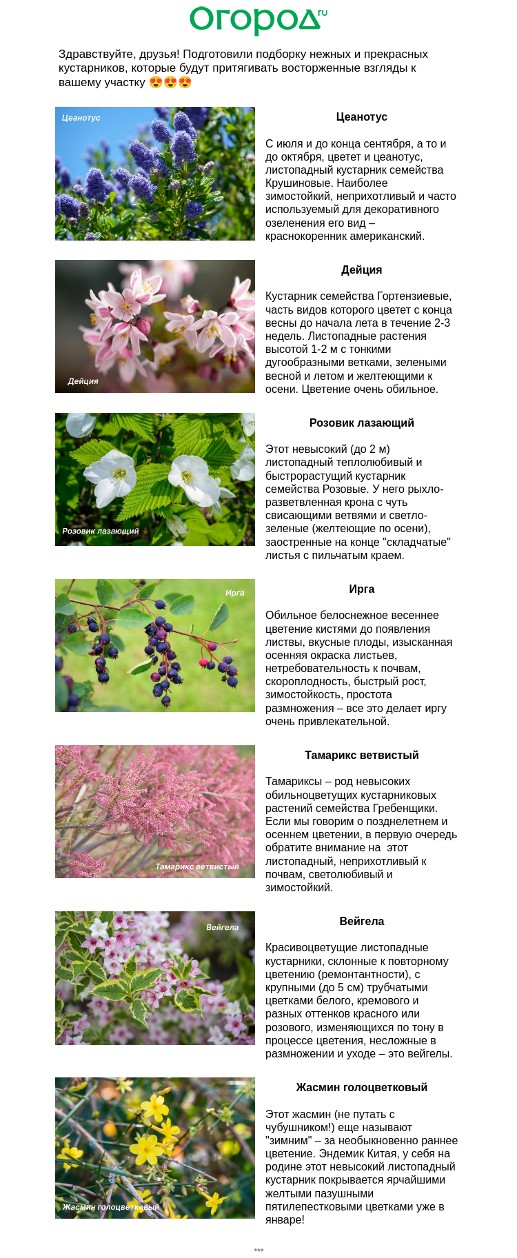 Письмо компании «Огород.ru» на тему «🌺 Красивые кустарники для посадки весной»