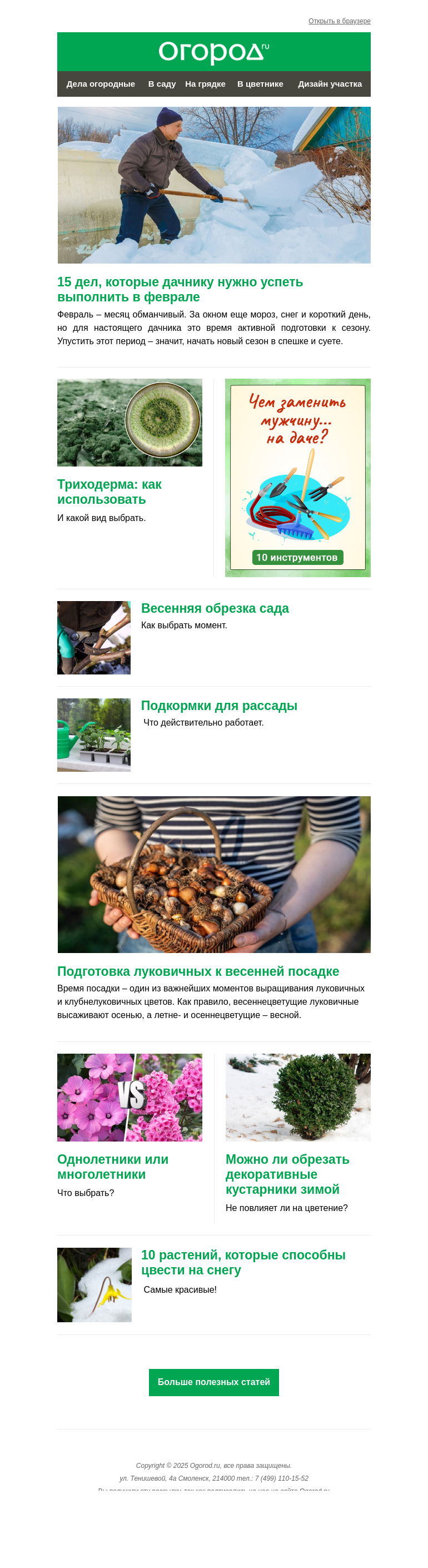 Письмо компании «Огород.ru» на тему «На Огород.ru: февральские работы на даче и подкормка рассады»