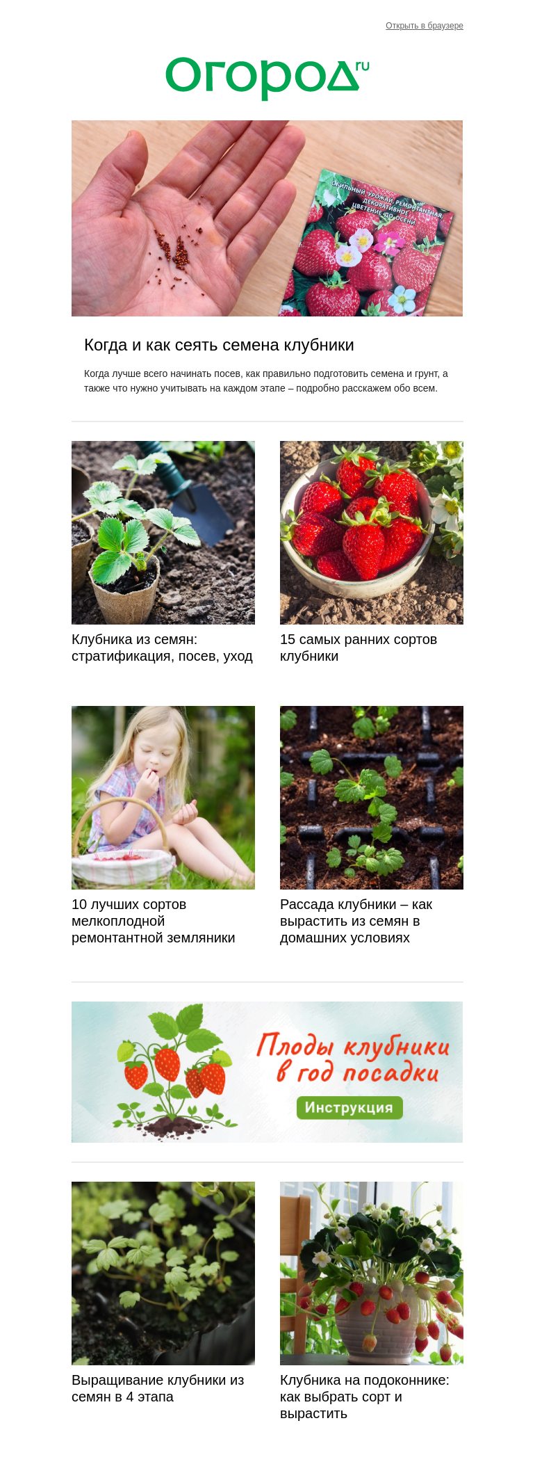 Письмо компании «Огород.ru» на тему «🍓Рассада клубники – как вырастить 🍓»