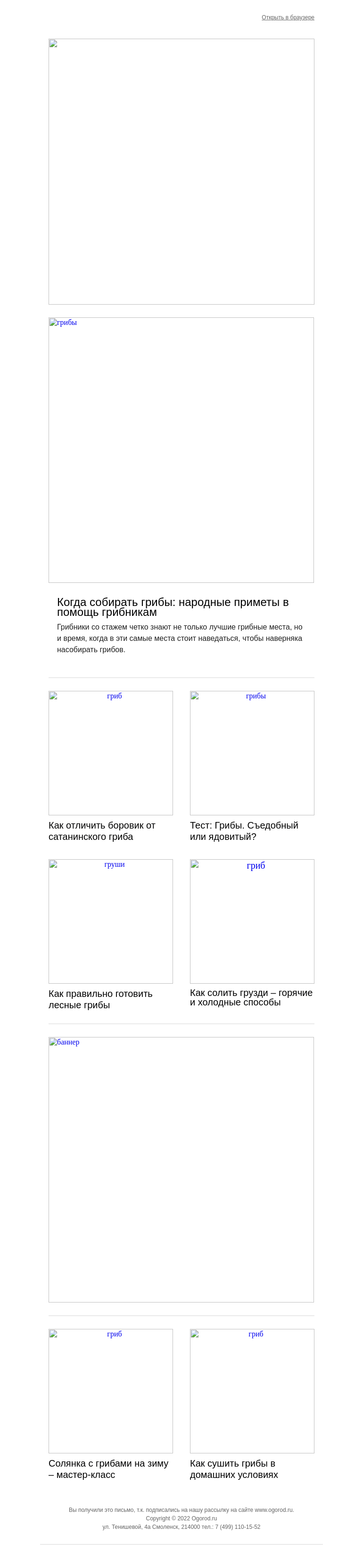 Письмо компании «Огород.ru» на тему «Все о грибах: какие брать, какие не брать и как заготавливать»