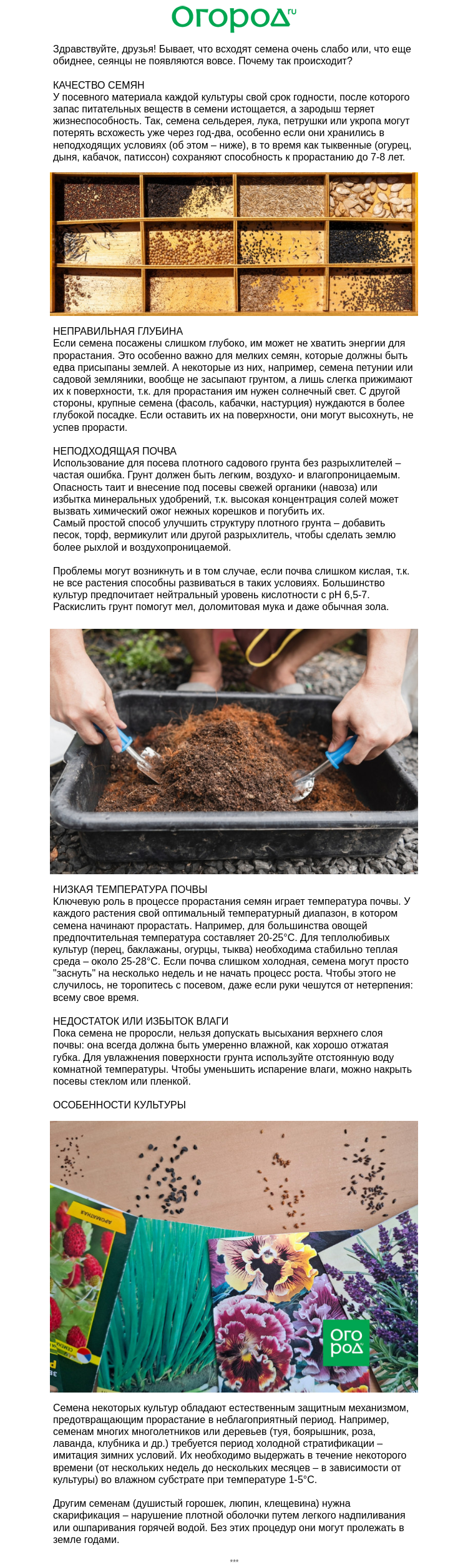 Письмо компании «Огород.ru» на тему «🌱 Почему не всходят семена»
