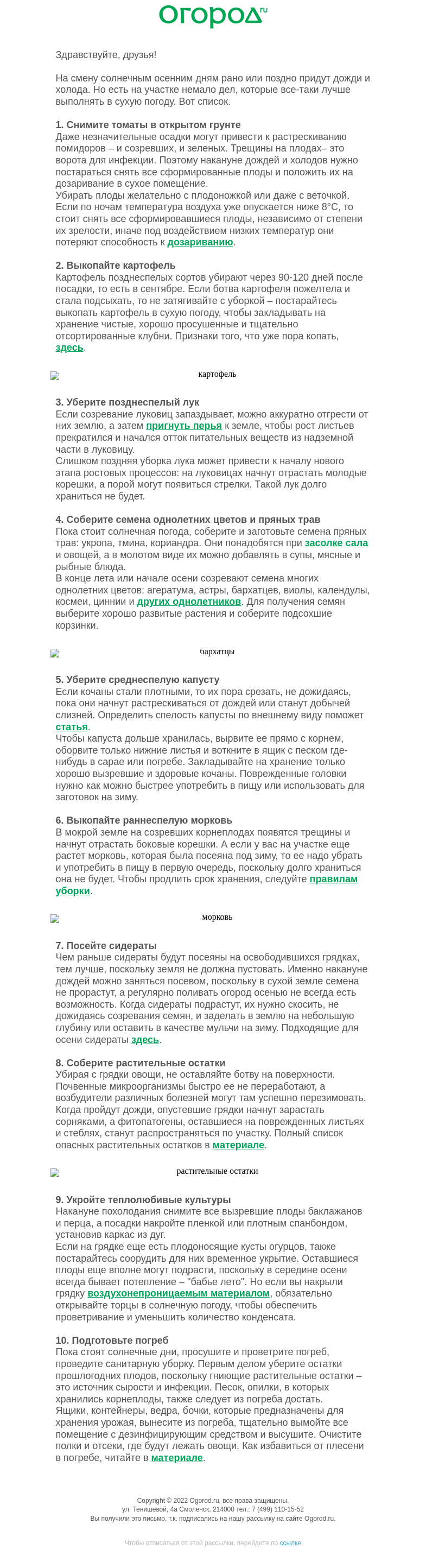 Письмо компании «Огород.ru» на тему «10 дел на даче до осенних дождей 🍂»