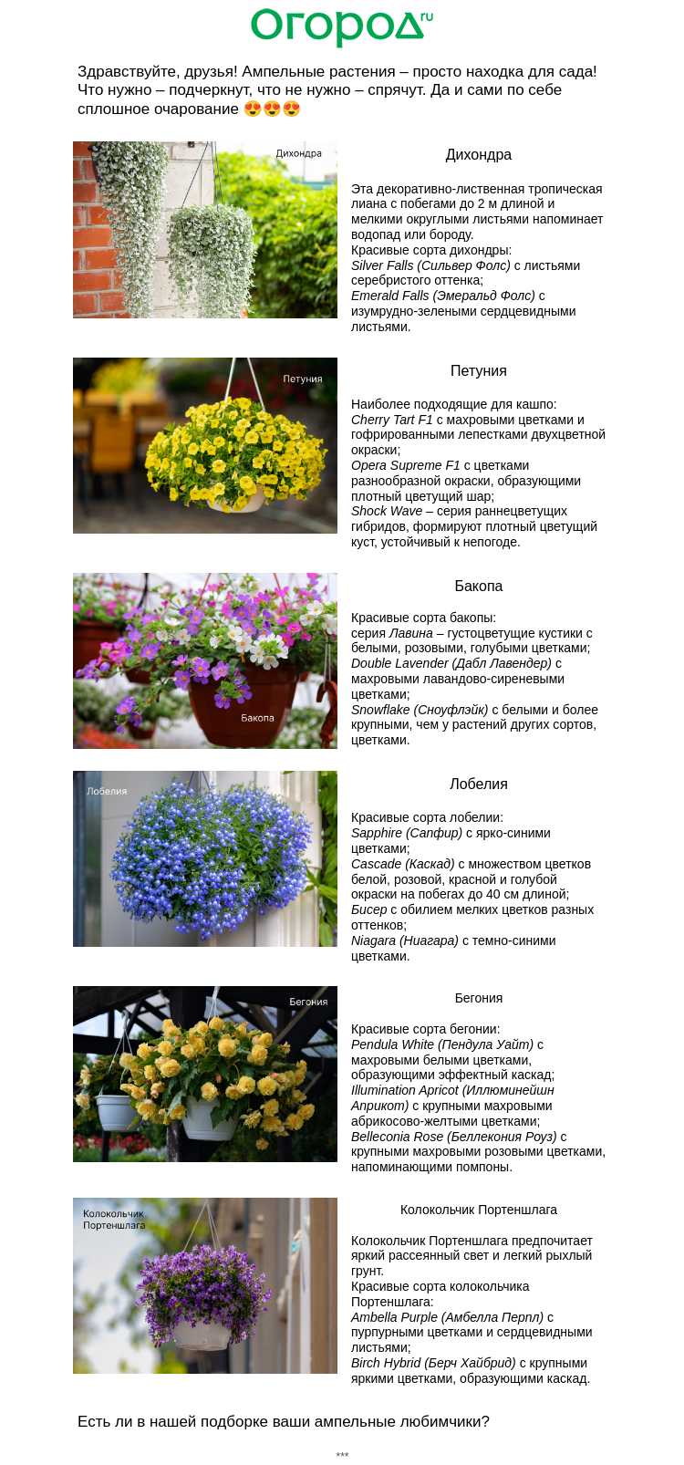 Письмо компании «Огород.ru» на тему «🌼 Ампельные растения для балкона и сада»