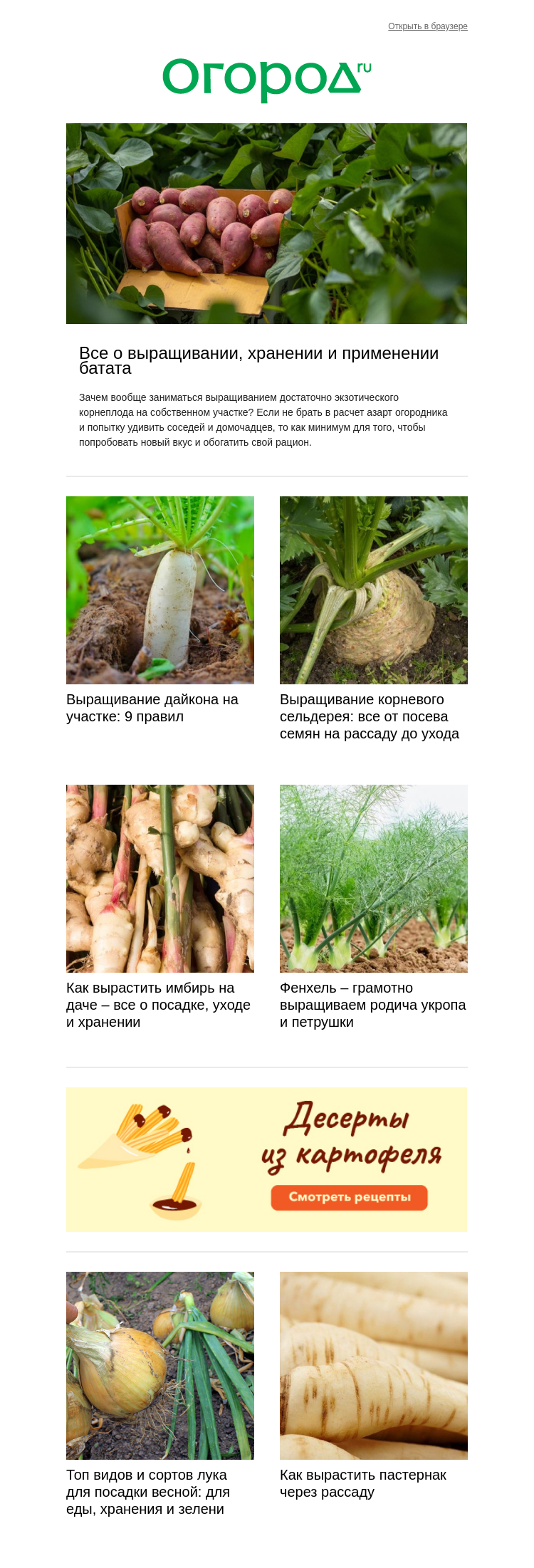 Письмо компании «Огород.ru» на тему «🥕 🧅 Необычные корнеплоды и луковицы для огорода»