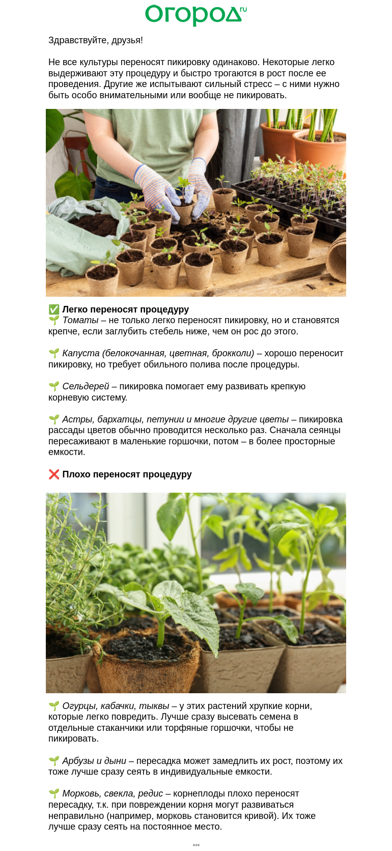 Письмо компании «Огород.ru» на тему «🌱 Какую рассаду НЕ нужно пикировать»