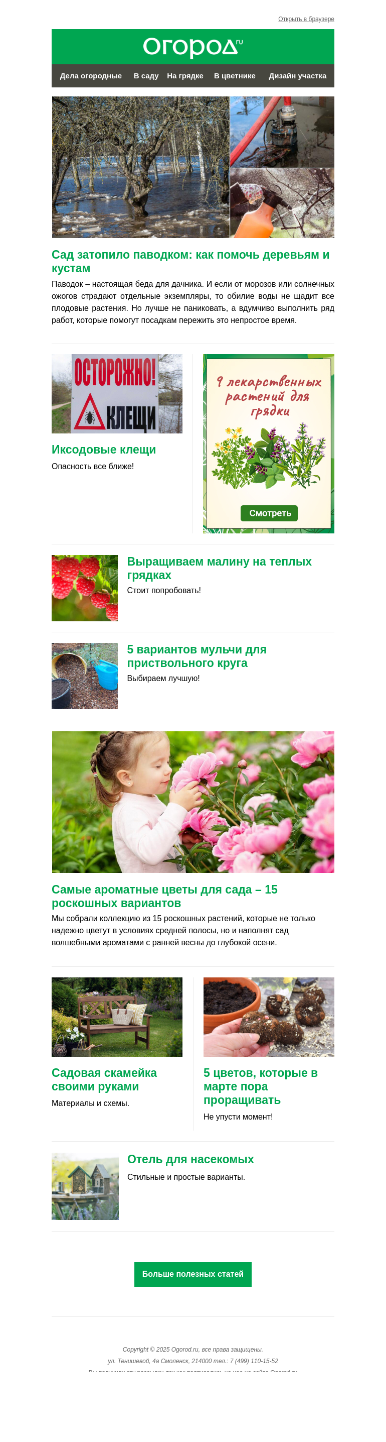 Письмо компании «Огород.ru» на тему «На Огород.ru: малина в теплых грядках и ароматные цветы для сада»