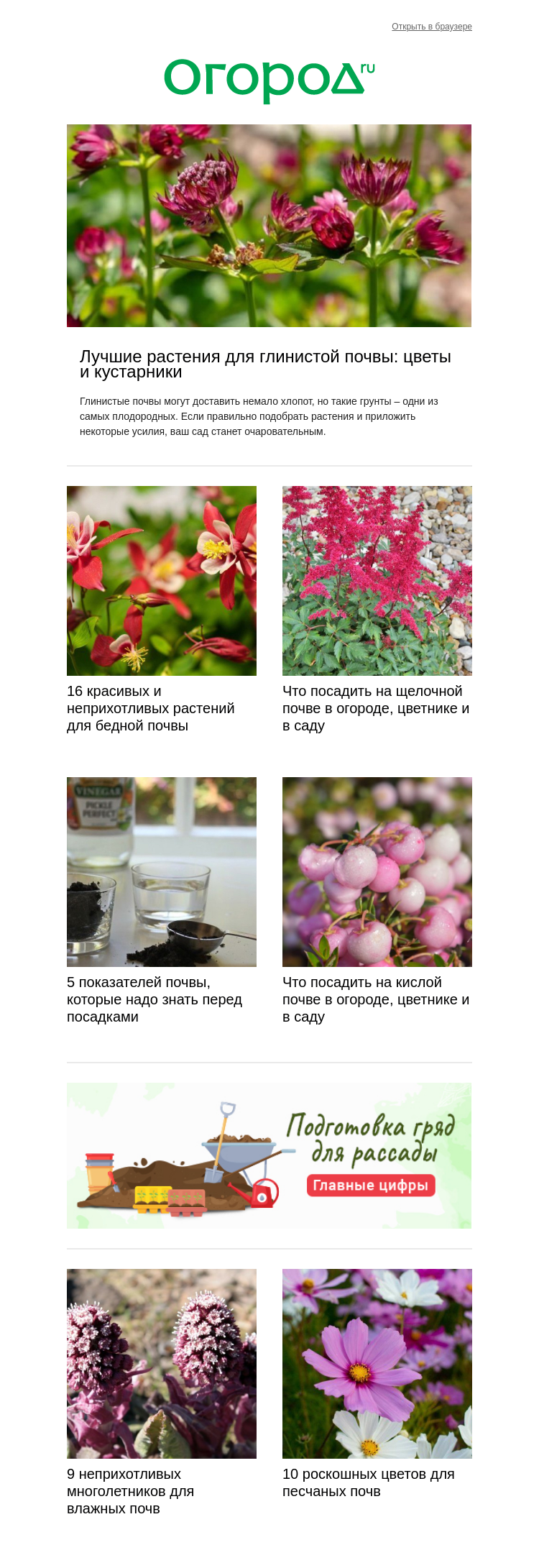 Письмо компании «Огород.ru» на тему «🌼 Красивые растения для разных почв 🌼»