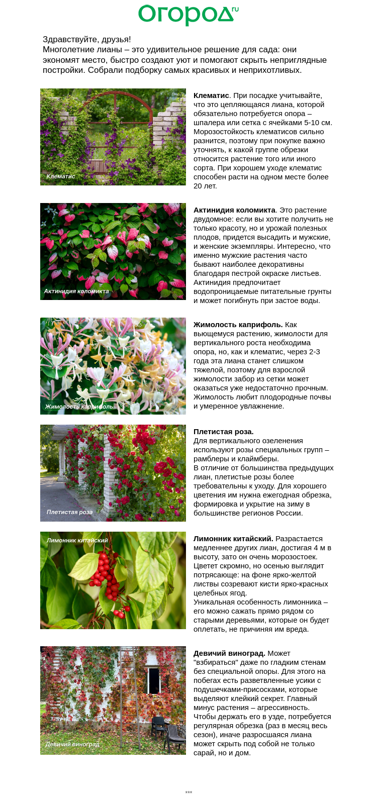 Письмо компании «Огород.ru» на тему «🌿 Многолетние лианы для сада»