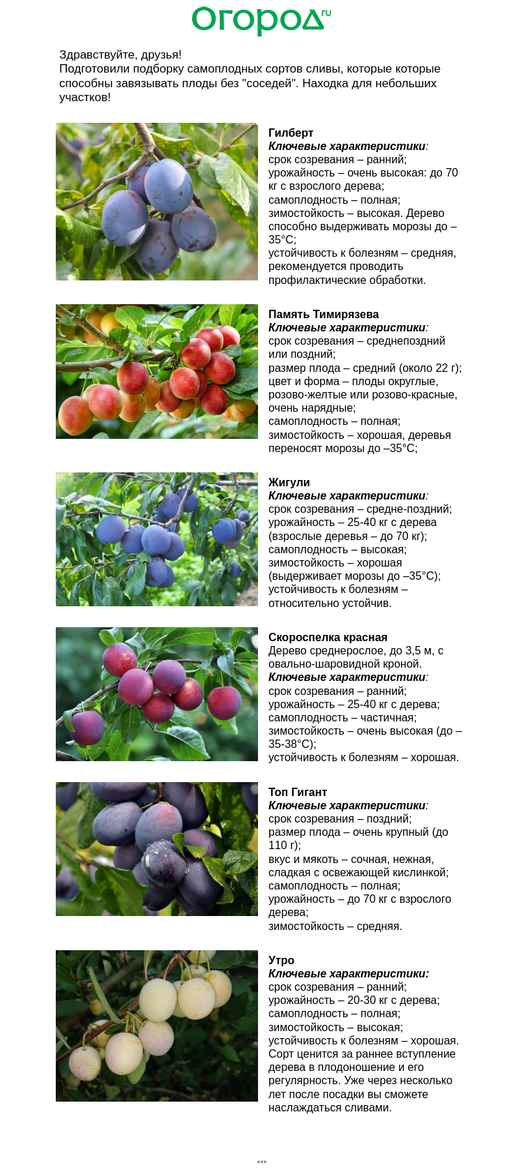 Письмо компании «Огород.ru» на тему «🍑 Самоплодные сорта сливы»