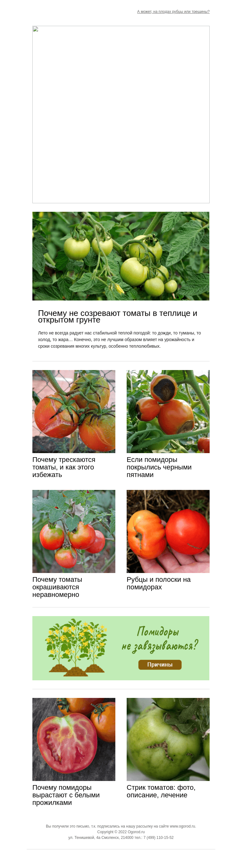 Письмо компании «Огород.ru» на тему «Почему помидоры не зреют, трескаются и вырастают с прожилками»