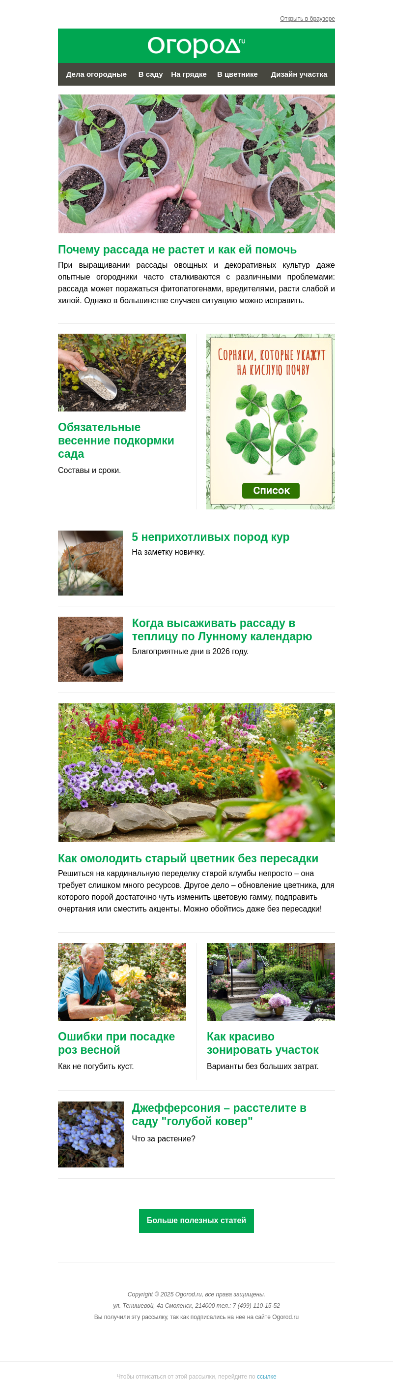 Письмо компании «Огород.ru» на тему «На Огород.ru: почему рассада не растет и ошибки при посадке роз»