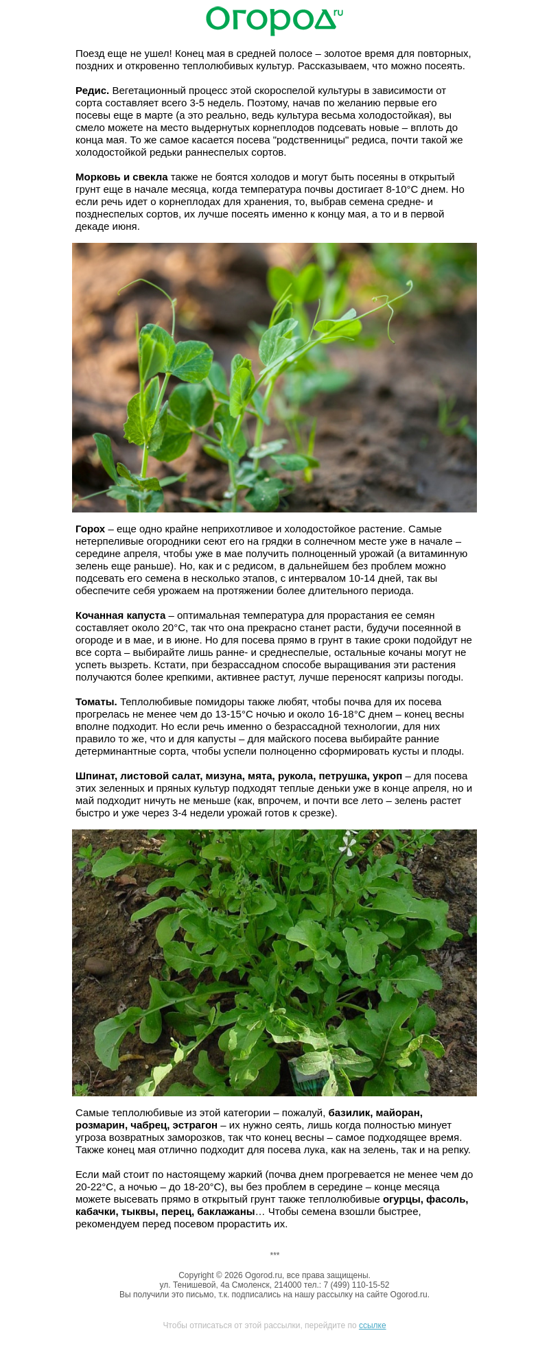 Письмо компании «Огород.ru» на тему «🌱 Что еще можно посеять в огороде»