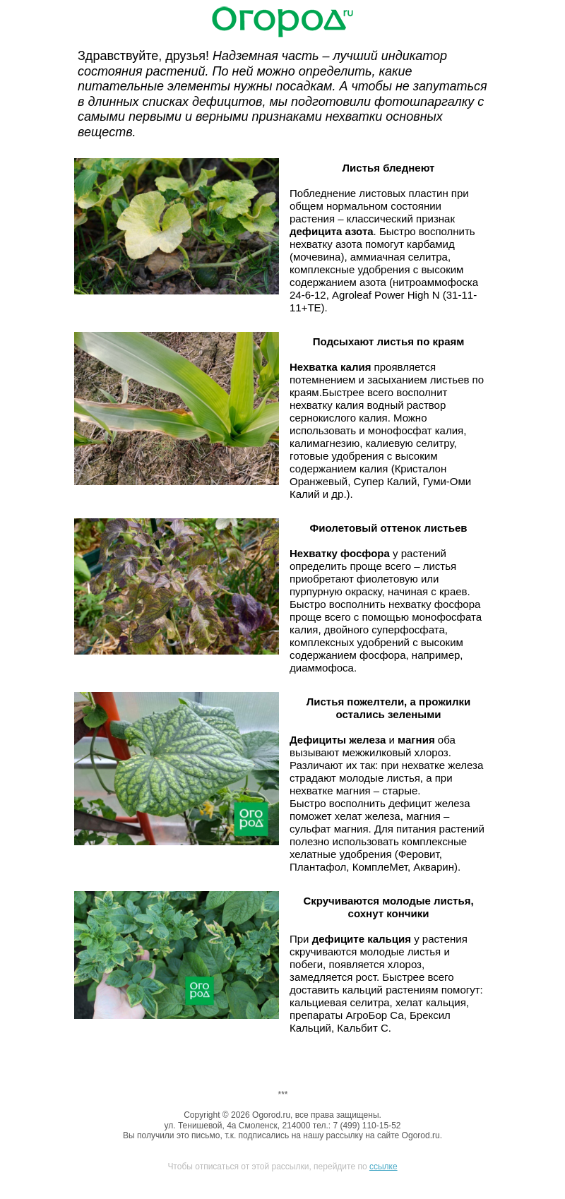 Письмо компании «Огород.ru» на тему «🌿 Фотошпаргалка: чего не хватает растениям»