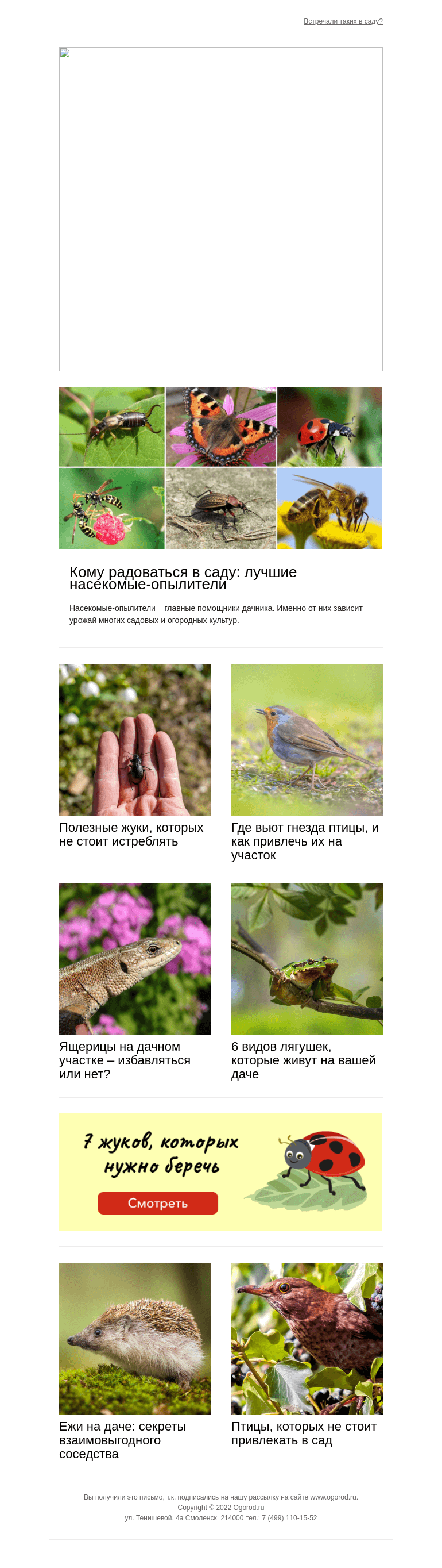 Письмо компании «Огород.ru» на тему «Каких насекомых, птиц и животных стоит привлекать в сад»