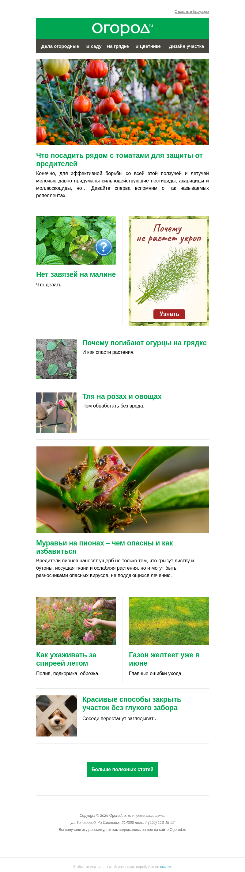 Письмо компании «Огород.ru» на тему «На Огород.ru: соседи для томатов и муравьи на пионах»