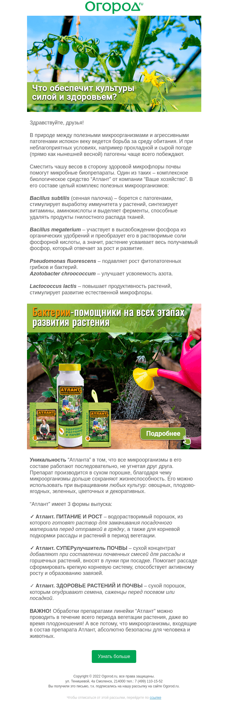 Письмо компании «Огород.ru» на тему «Как спасти растения от сырости и холода этой весной»