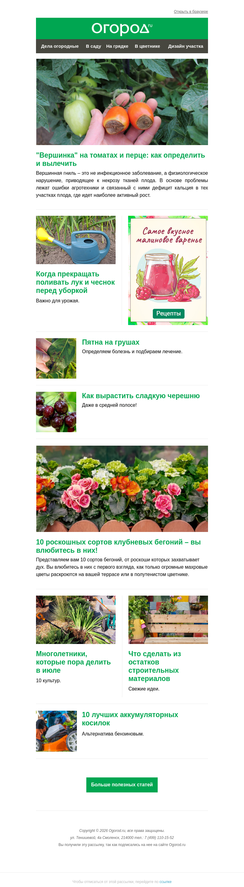 Письмо компании «Огород.ru» на тему «На Огород.ru: вершинка на томатах и роскошные бегонии»