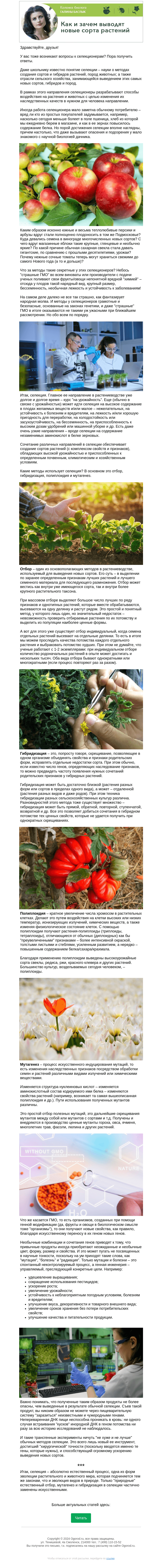 Письмо компании «Огород.ru» на тему «Колонка биолога. Как и зачем выводят новые сорта растений»
