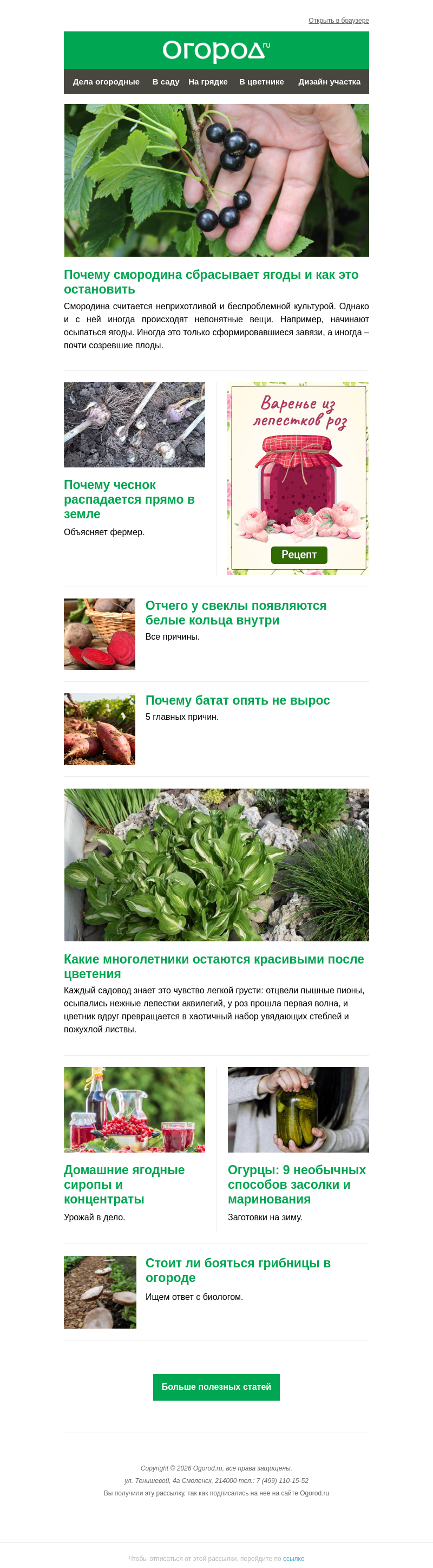 Письмо компании «Огород.ru» на тему «На Огород.ru: белые кольца у свеклы и засолка огурцов»